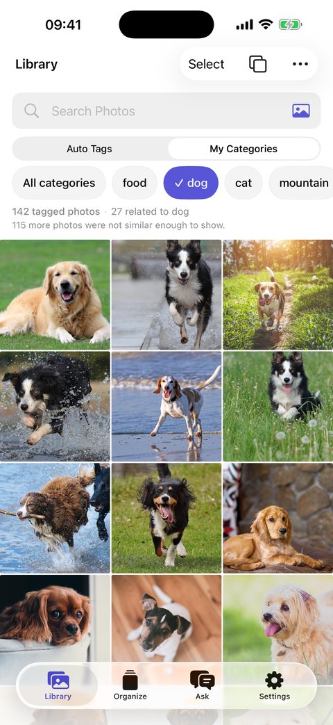 EyeSay category view for organizing a photo library